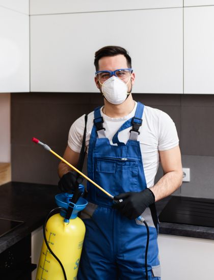 about the care pestabout the care pest