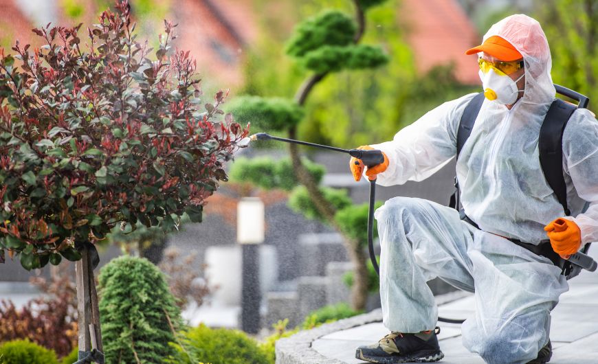 herbal pest control service
