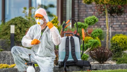 herbal pest control service