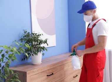 herbal pest control