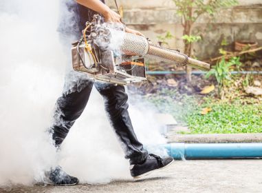 mosquito pest control
