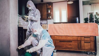 reliable general pest control service