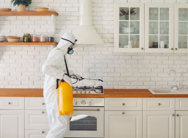 residential pest control