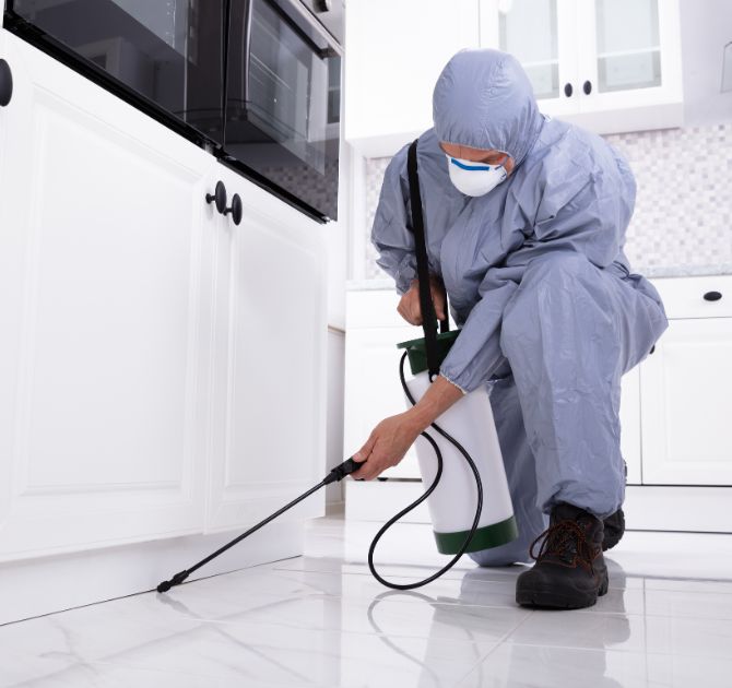smart pest control for cleaner space